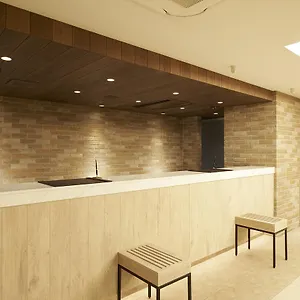 Sotetsu Fresa Ginza Sanchome Hotel Tokyo